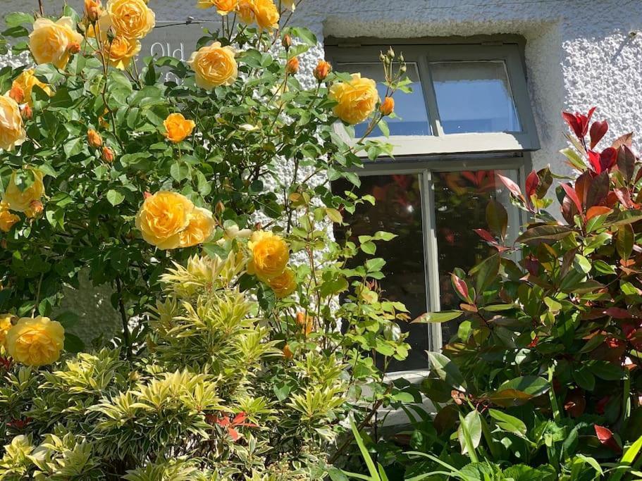 The Old Post Office, Cosy Grade II Listed 2 Bed Apartment Windermere Bagian luar foto